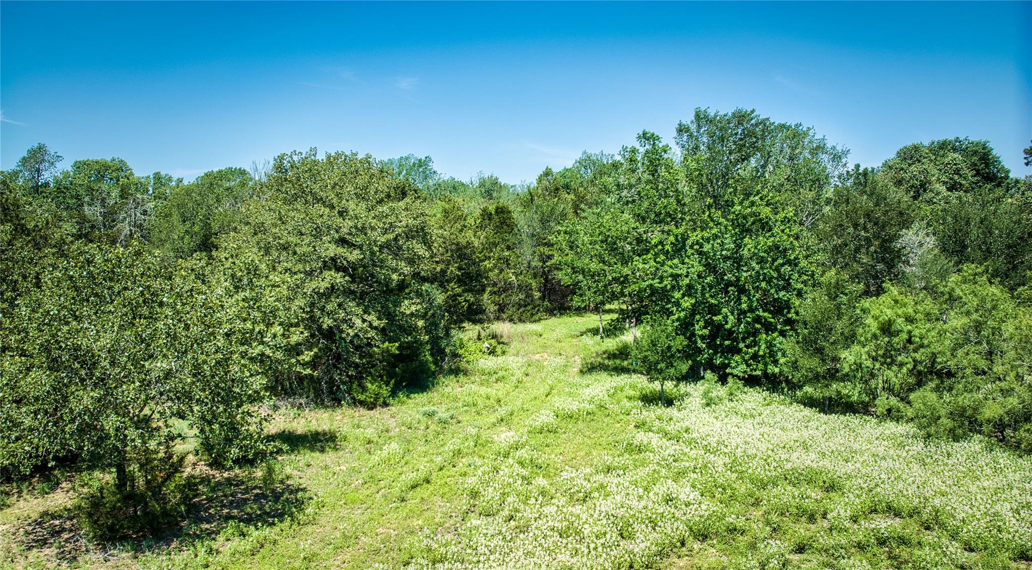 Lot 10C Foothill, Bastrop, TX 78602 — photo 1