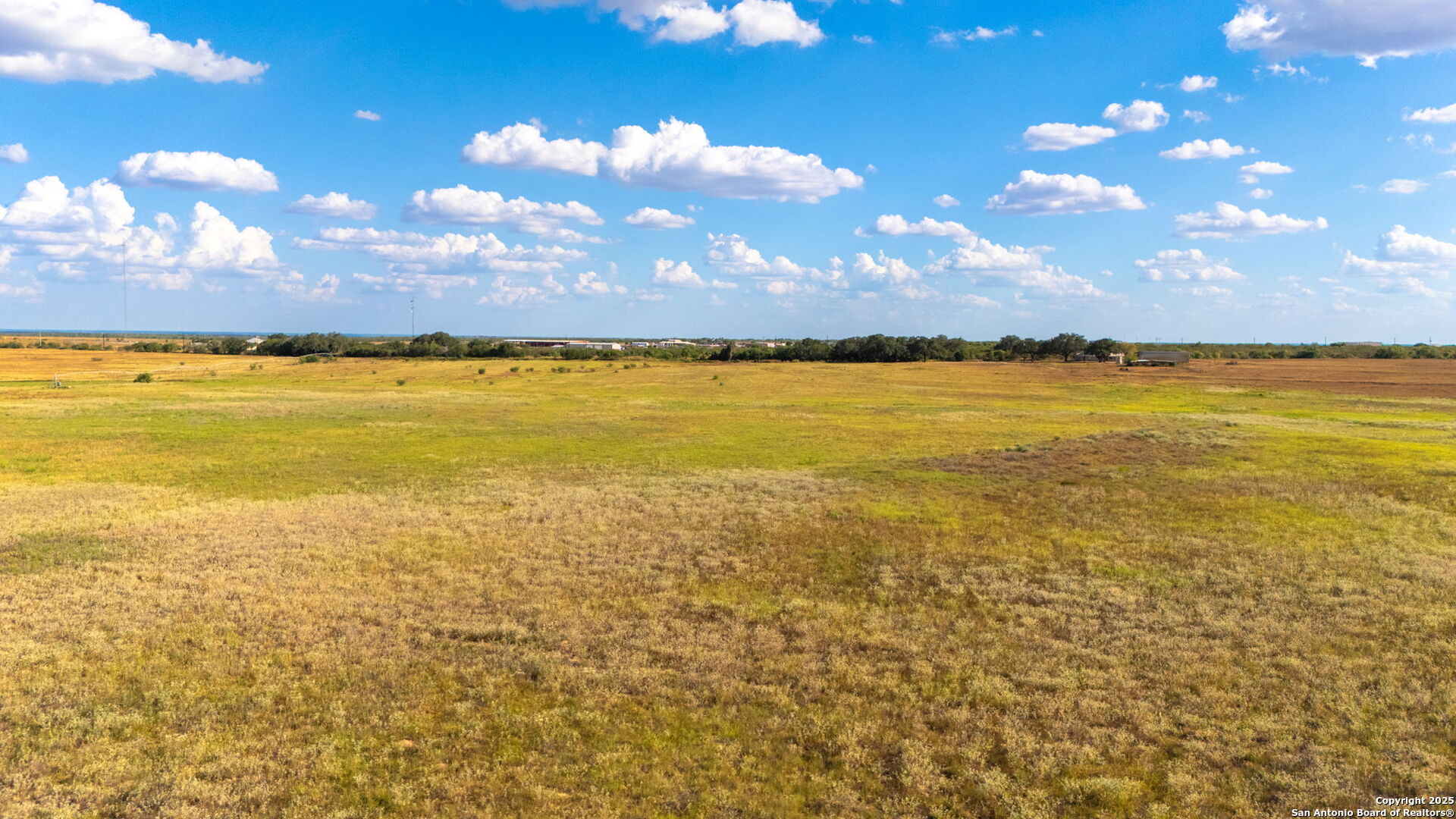 43.79 ACRES Bynum Road, ,  78114 — photo 1