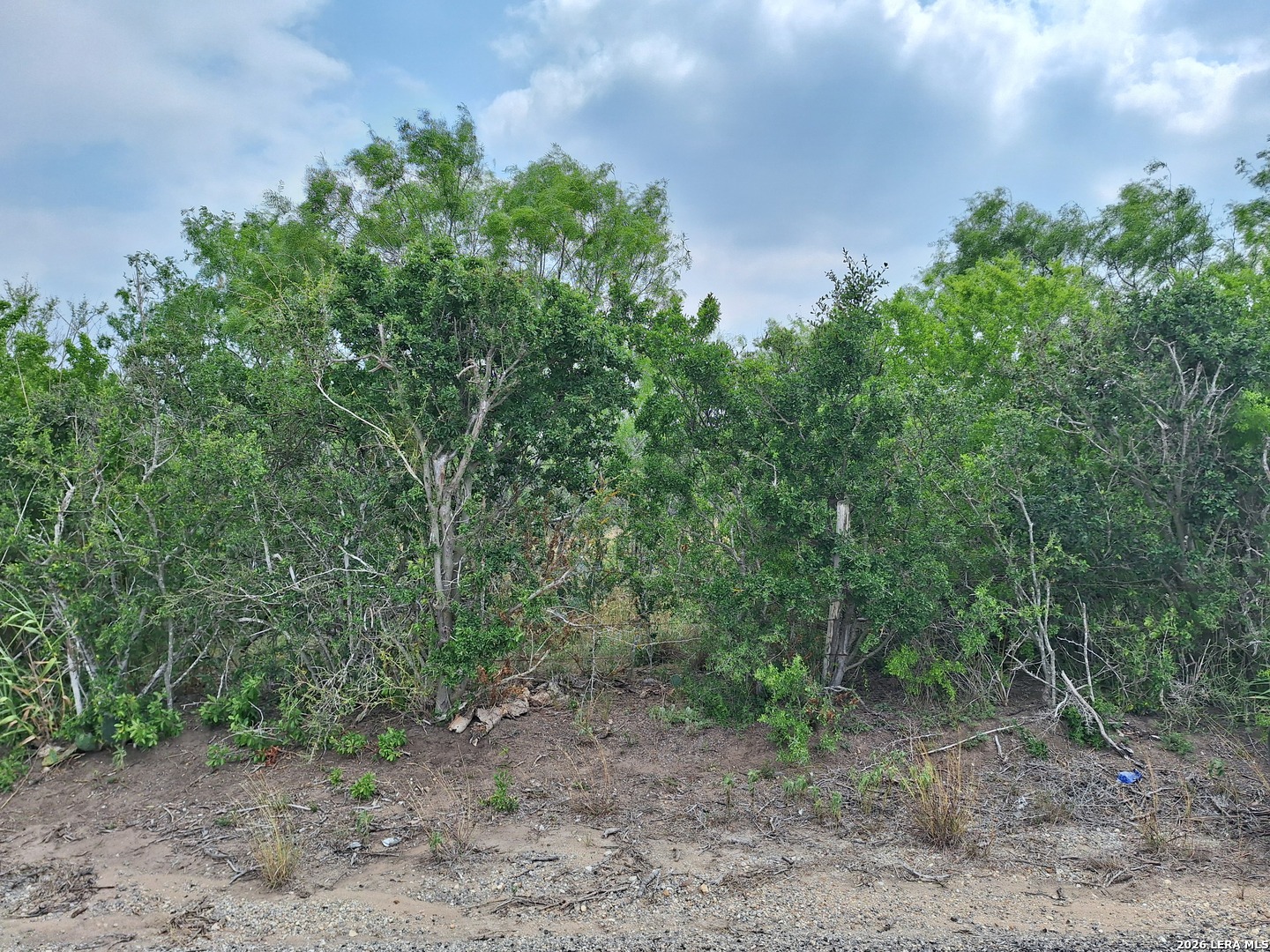 CR 148, Kenedy, TX 78119 — photo 1