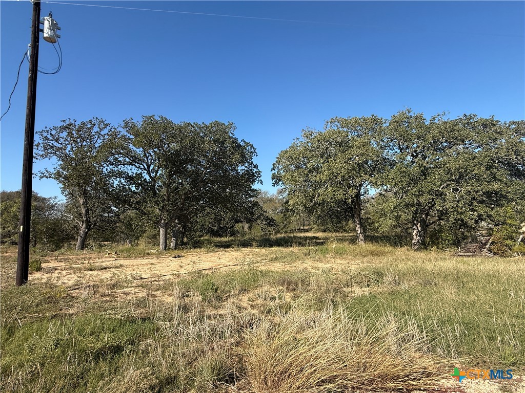 123 Grace Lane, Dale, TX 78616 — photo 1