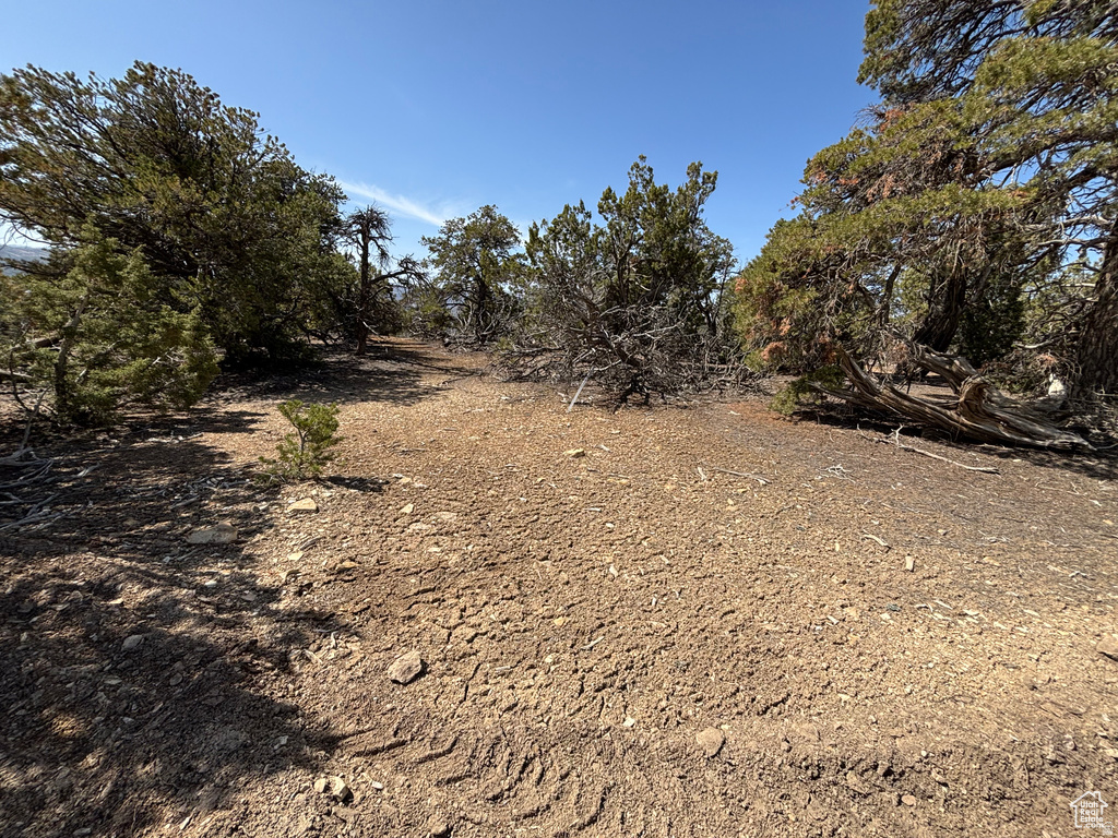 8911 SAMS WASH RD, Duchesne, UT 84021 — photo 1