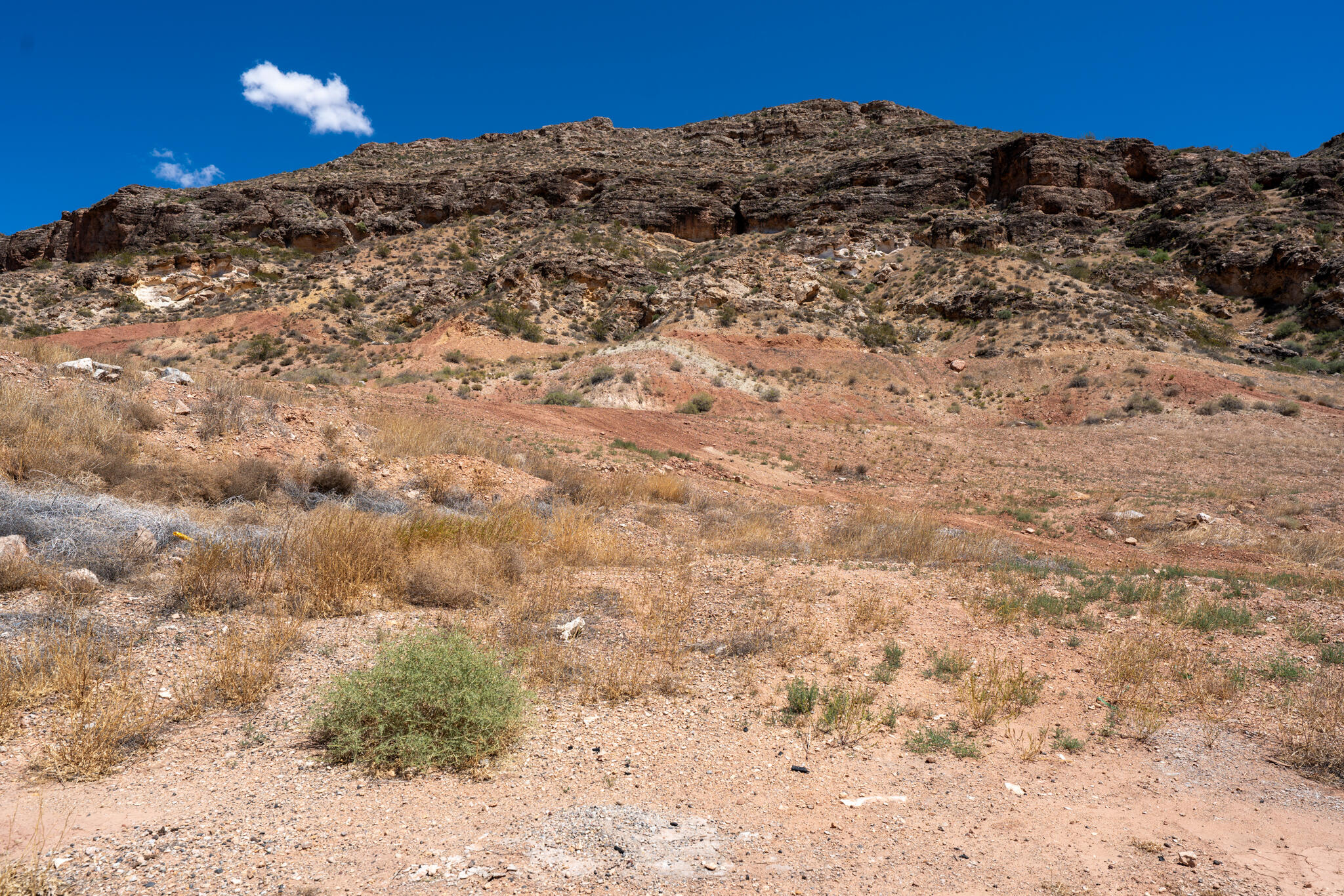 286 N 200 E, La Verkin, UT 84745 — photo 1