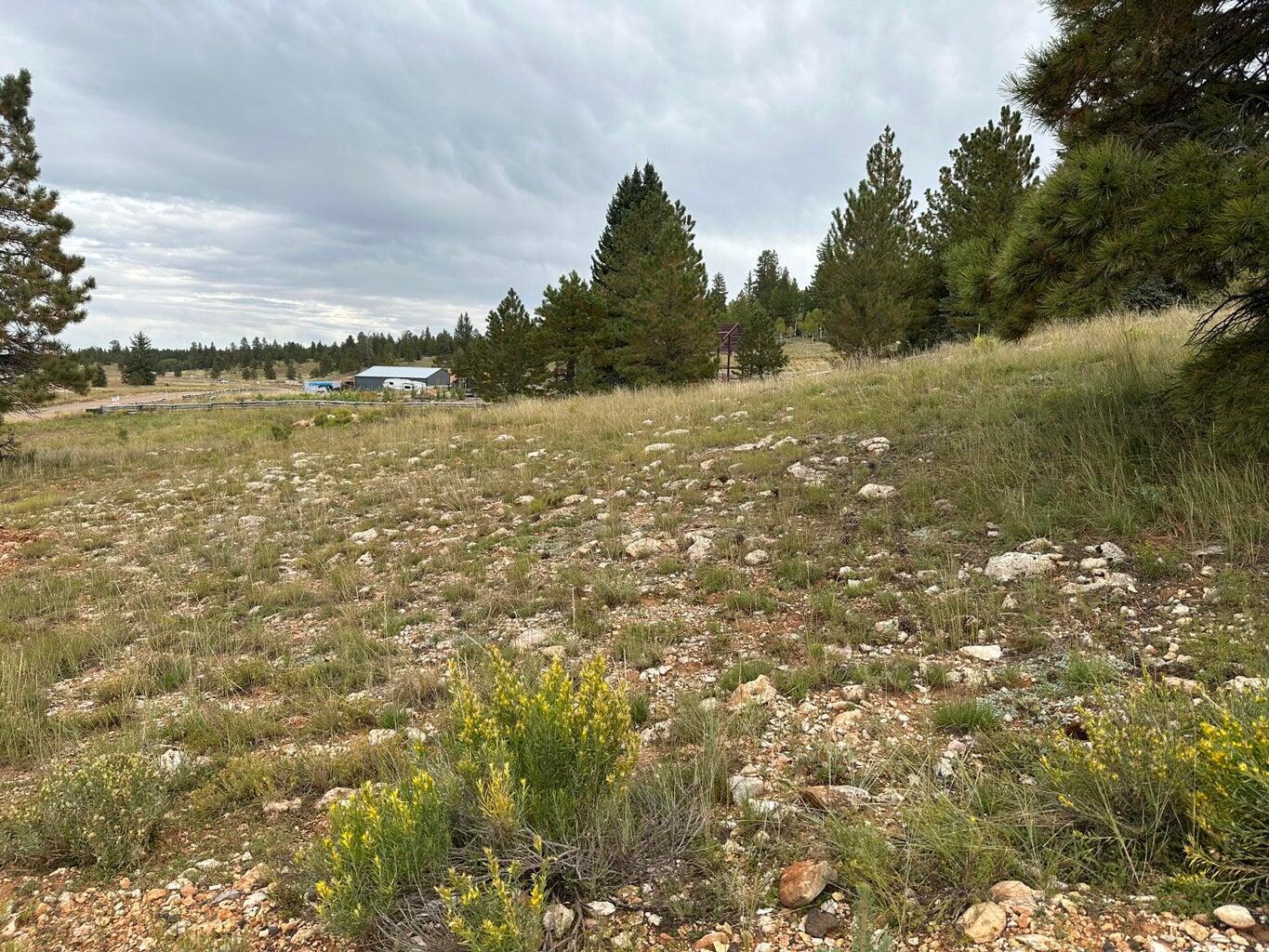 2150 N Ridge View RD, Duck Creek, UT 84762 — photo 1