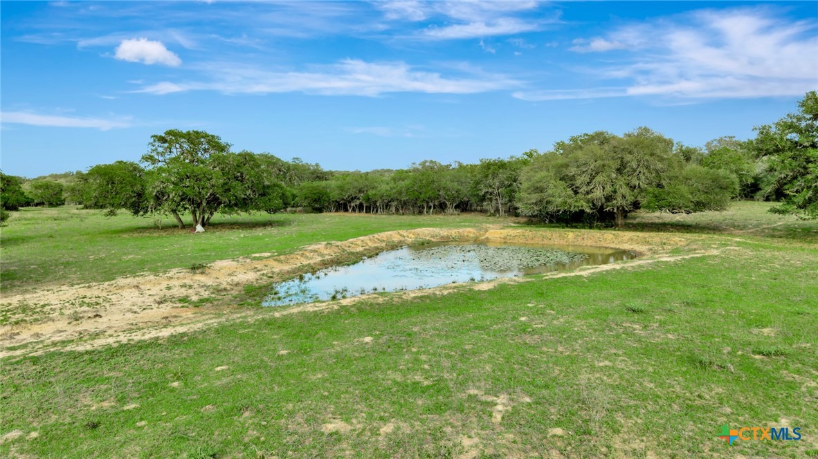 16297B State Highway 111 E, Yoakum, TX 77995 — photo 1