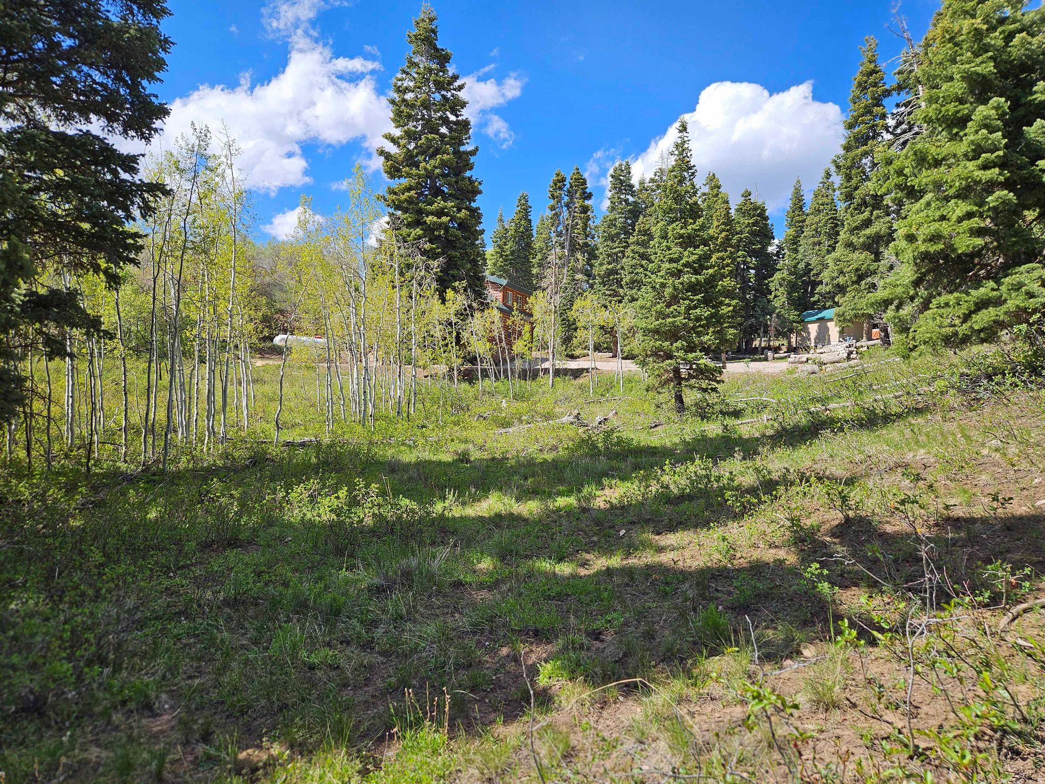 50 E THADS PEAK DR, Fairview, UT 84629 — photo 1