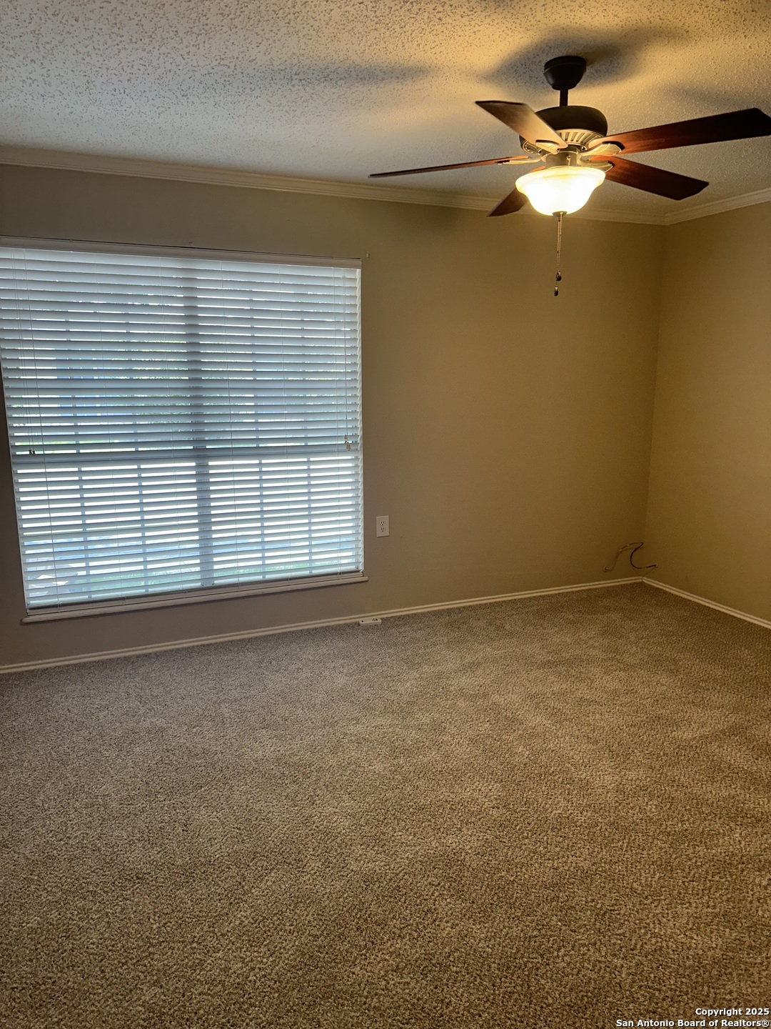 4000 Cypress, , 78108 — photo 1