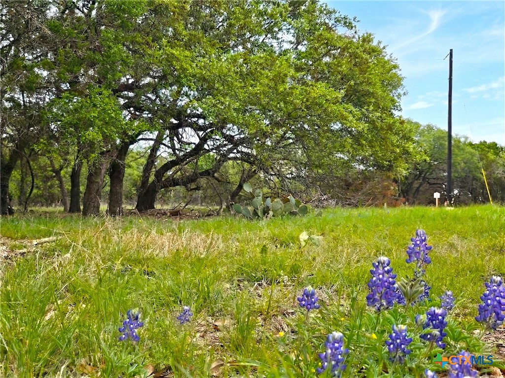000 CR 206, Lampasas, TX 76550 — photo 1