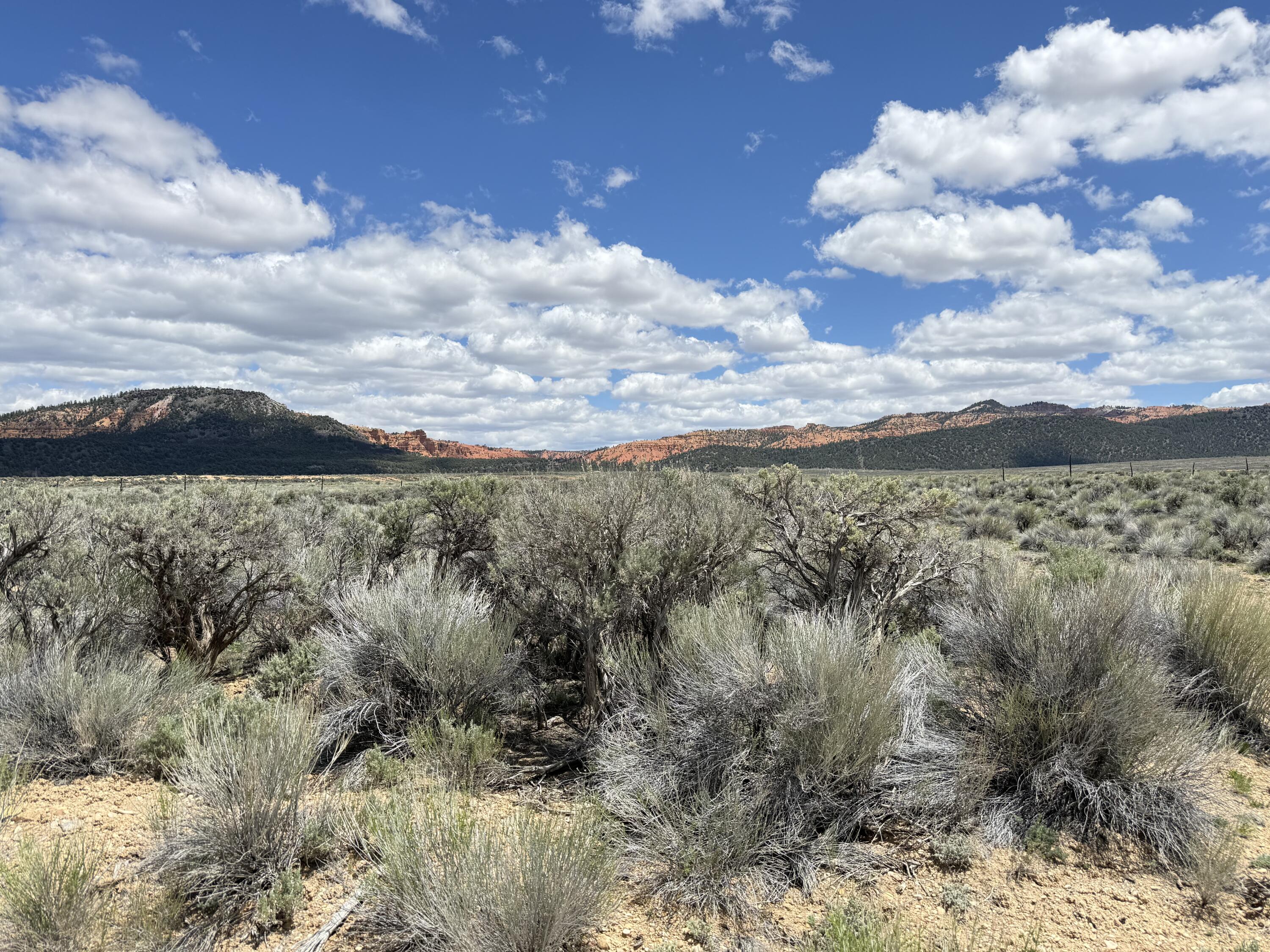 4369 S Scenic DR, Panguitch, UT 84759 — photo 1