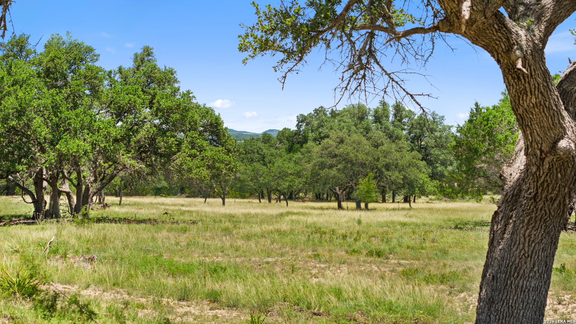 TBD TR2 Lindeman Ln, ,  78606 — photo 1