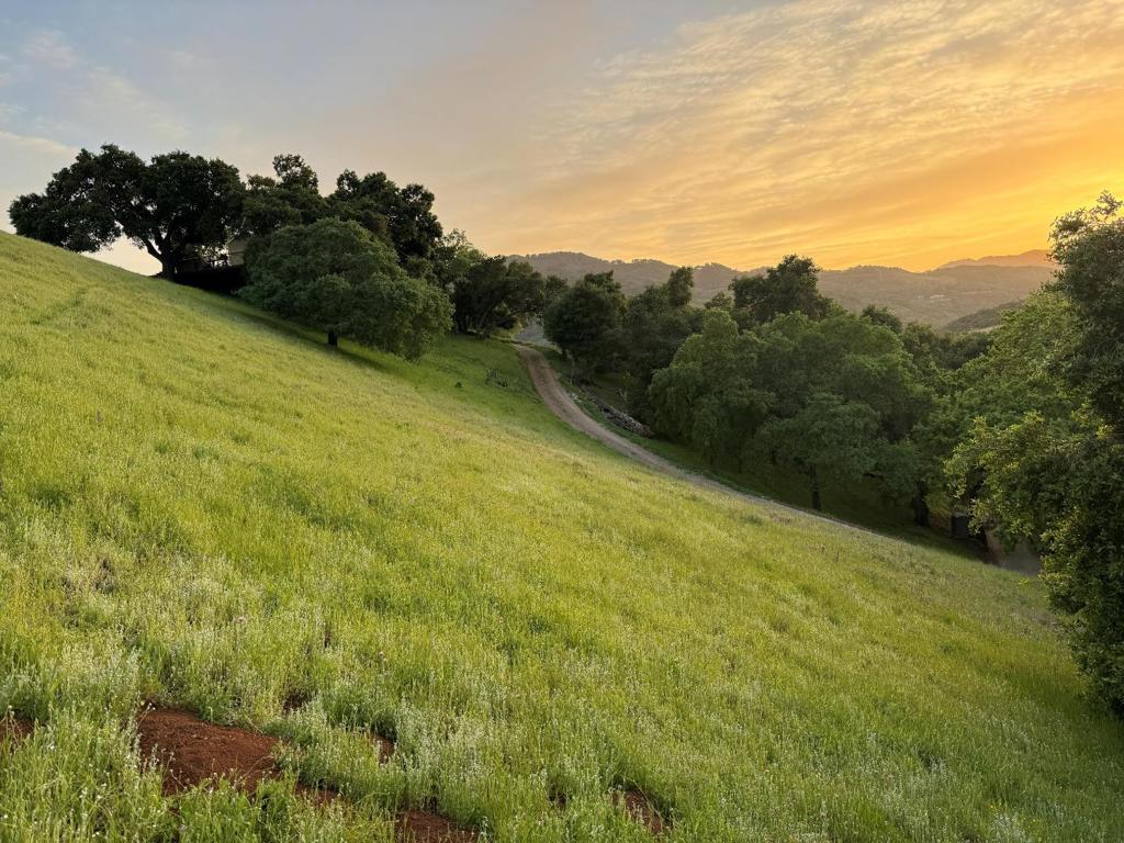 2328 Dahlberg Drive, Morgan Hill, CA 95037 — photo 1