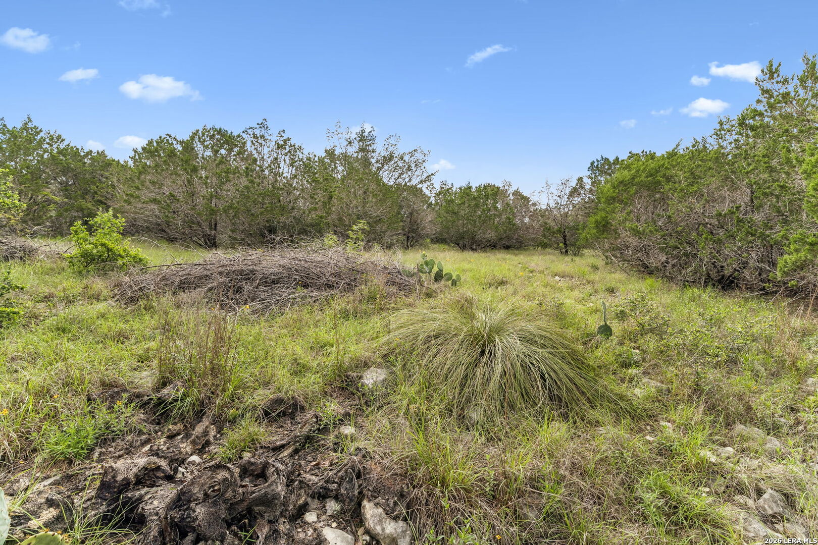 293 RIVER CLIFF PL, ,  78070 — photo 1