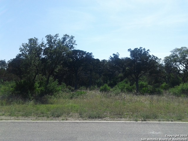 20007 Terra Canyon, , 78255 — photo 1