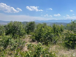 225  RIDGETOP WEST, Wanship, UT 84017 — photo 1