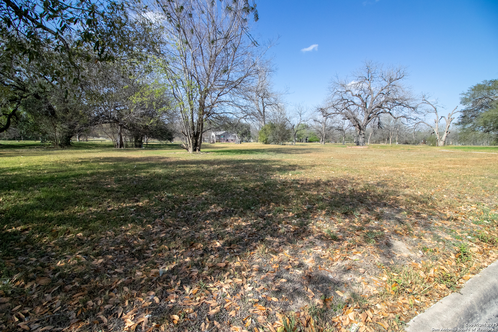 LOT 102 & 103 Hollamon Dr, ,  78155 — photo 1