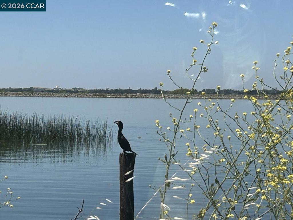 0 Bradford Island Rd, Oakley, CA 94561 — photo 1