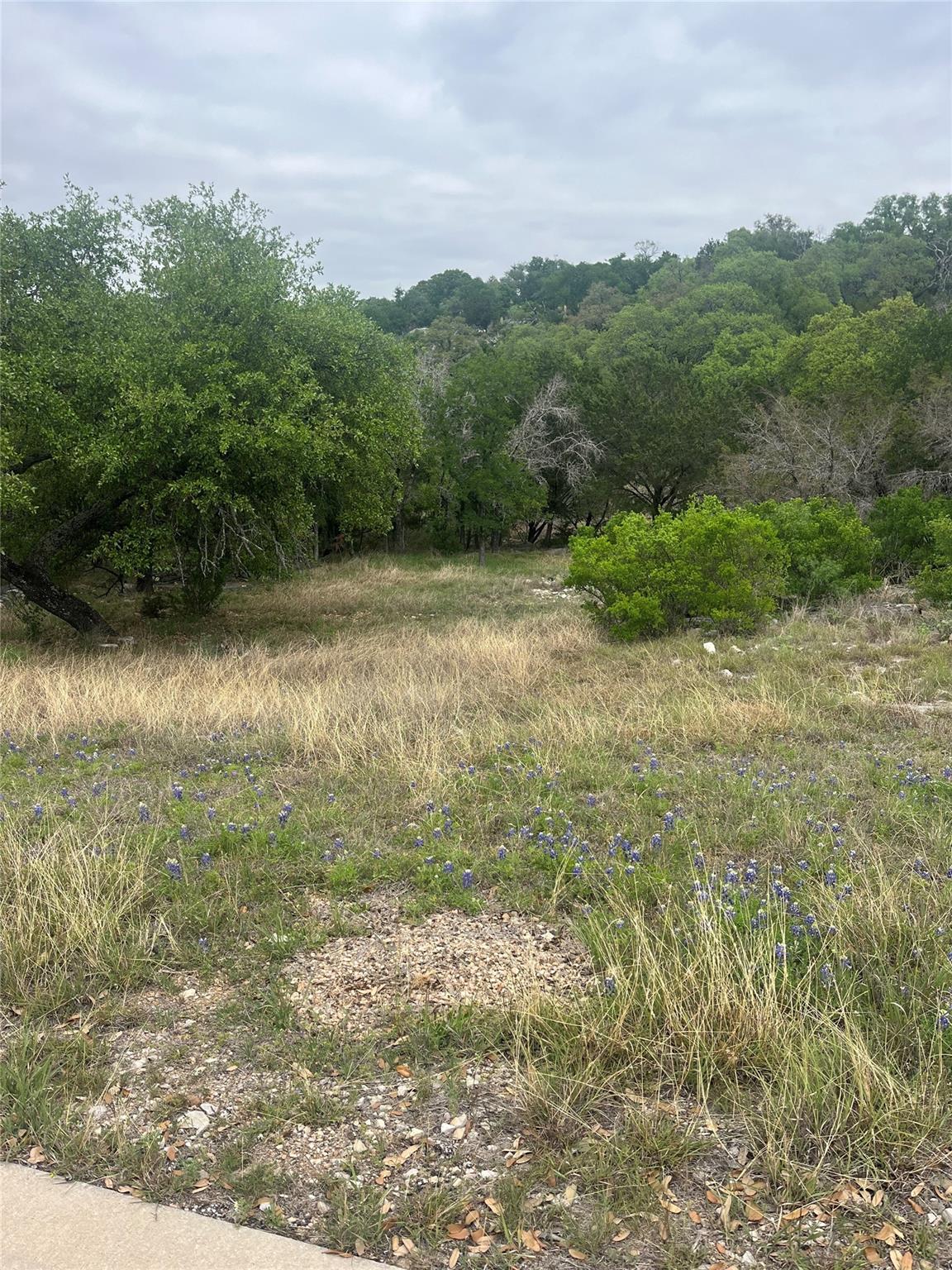 Lot 20179 Quick Draw, Horseshoe Bay, TX 78657 — photo 1