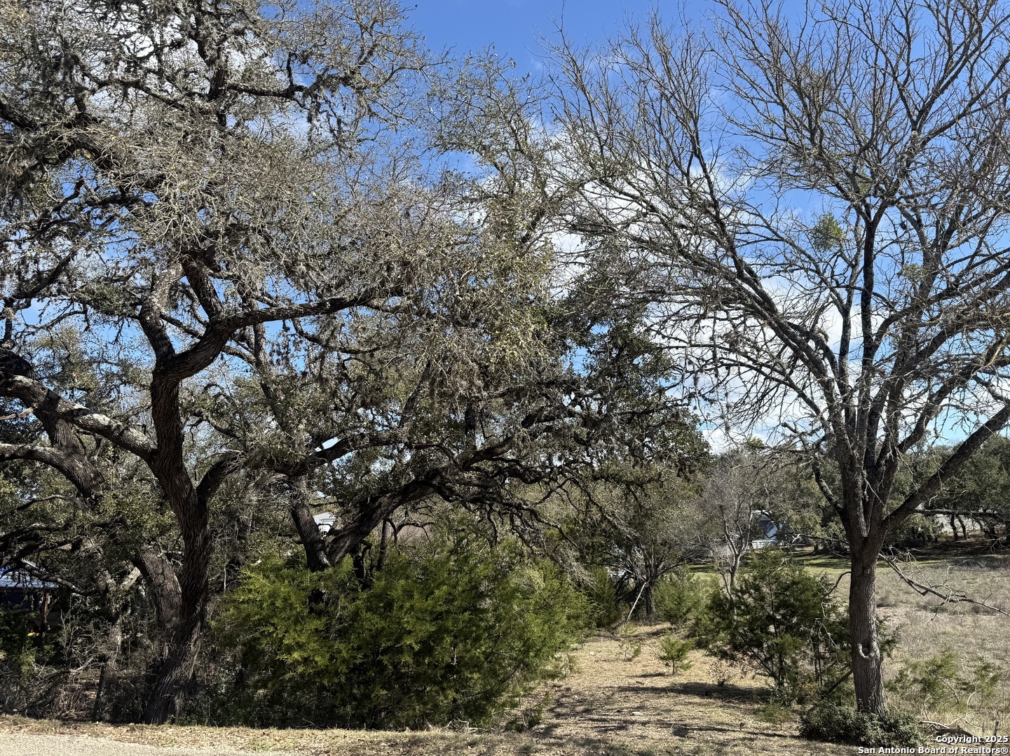 985 Deer Run Pass, ,  78133 — photo 1