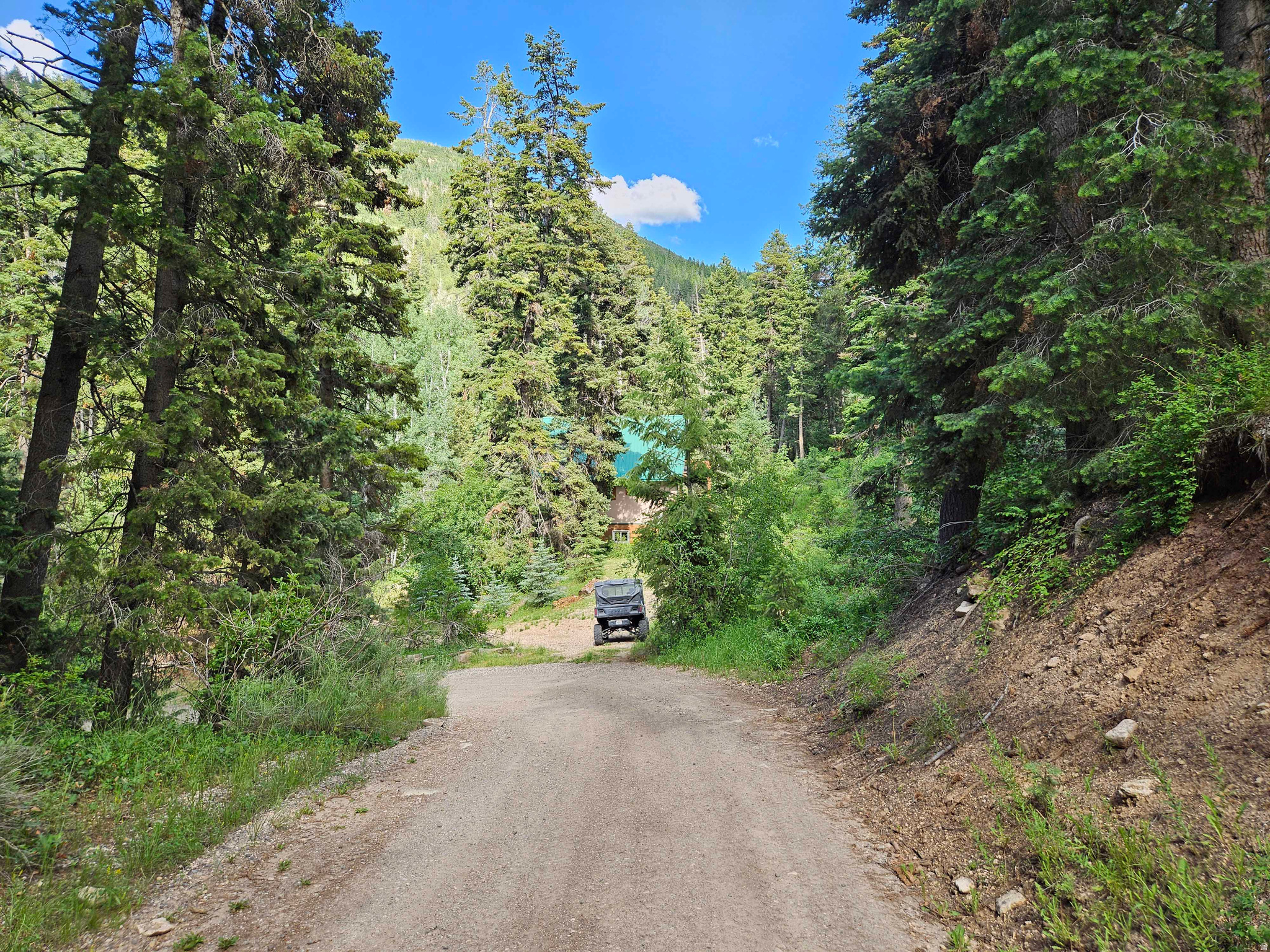 30 E PINE CREEK RD, Mt Pleasant, UT 84647 — photo 1