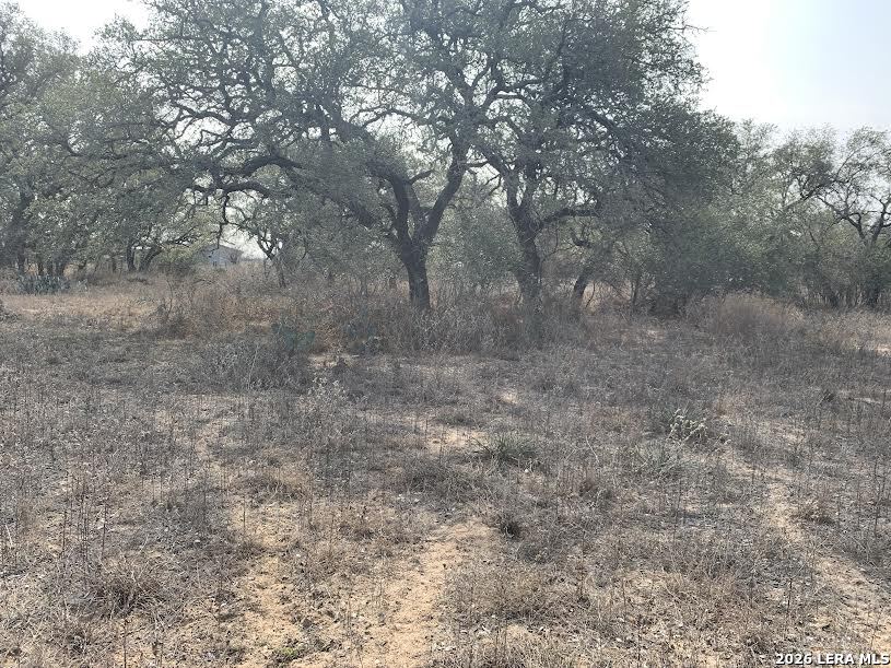 264 CR 6719, ,  78059 — photo 1