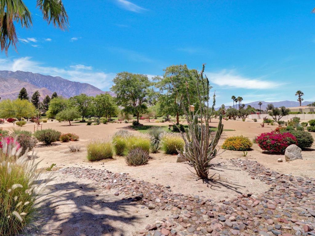 1455 Sunflower Circle S, Palm Springs, CA 92262 — photo 1