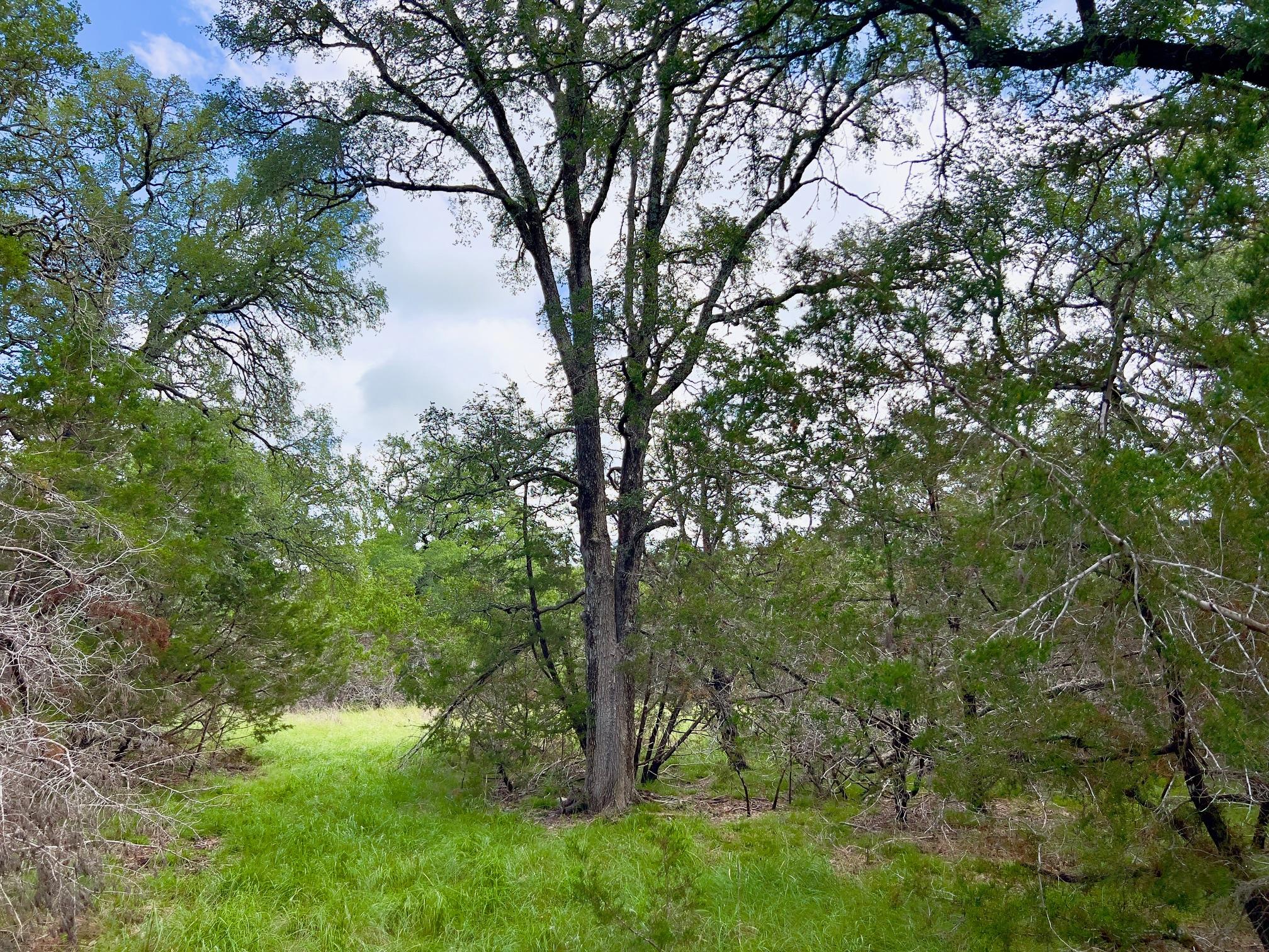 Lot 43-A Narrows, Blanco, TX 78606 — photo 1