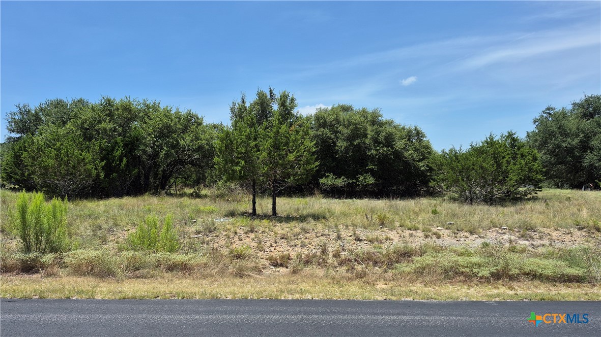 162 Scarlet Court Court, Canyon Lake, TX 78133 — photo 1