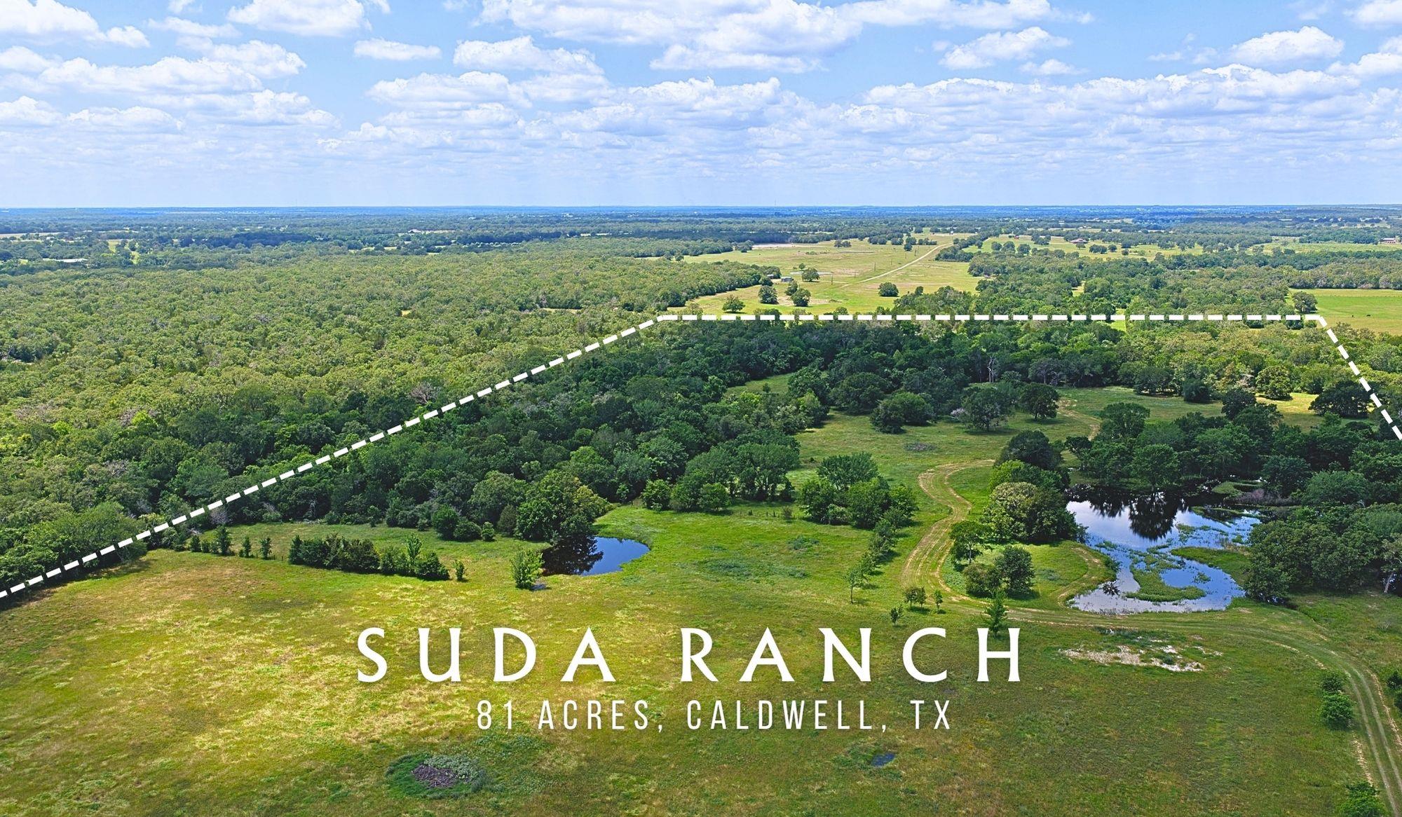 5380 County Road 132 (81.02 acres), Somerville, TX 77879 — photo 1