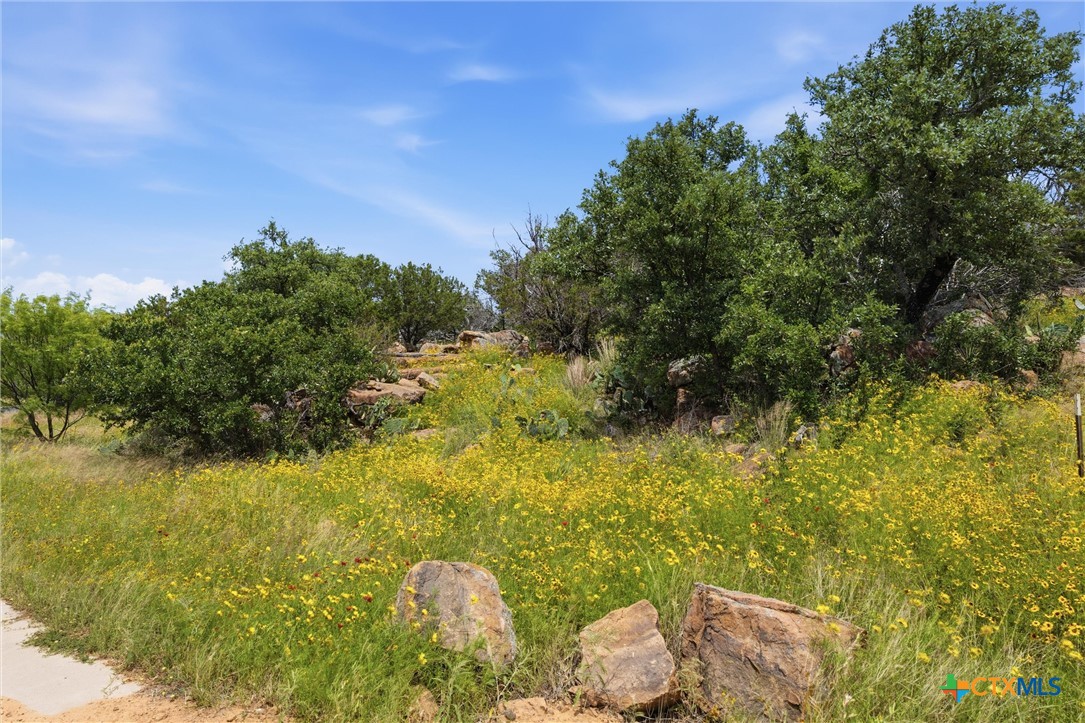 Lot 30 Peninsula Drive, Burnet, TX 78611 — photo 1