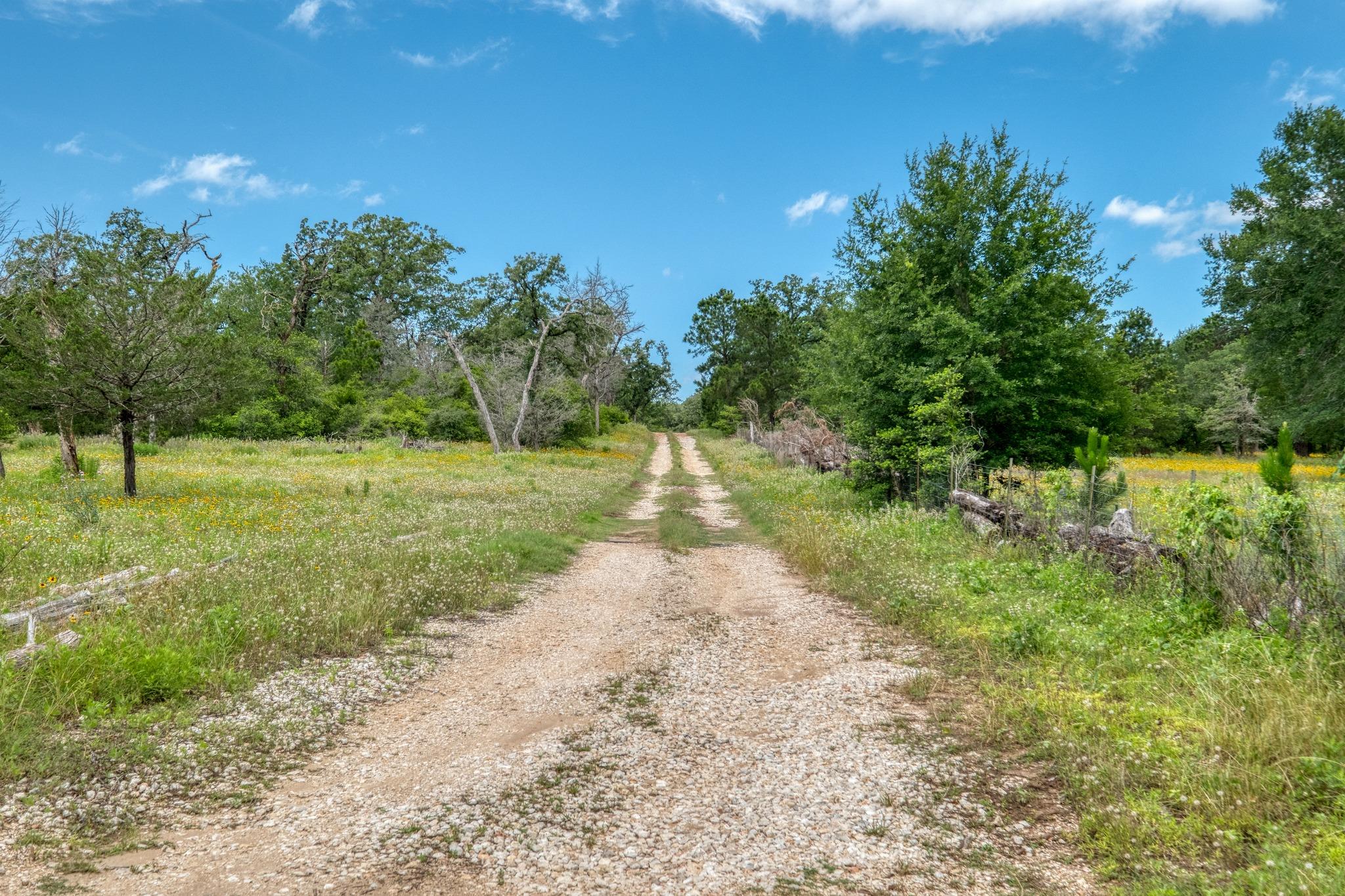TBD Pathfinders, Smithville, TX 78957 — photo 1