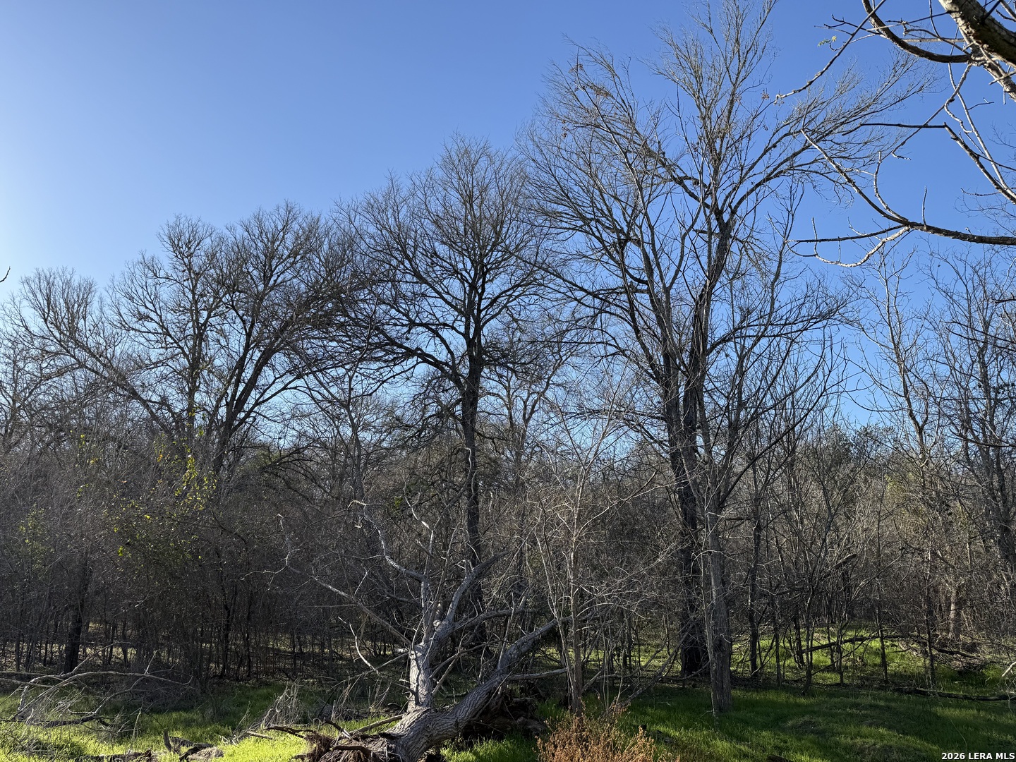 0 Country Club Dr Ss, ,  78155 — photo 1