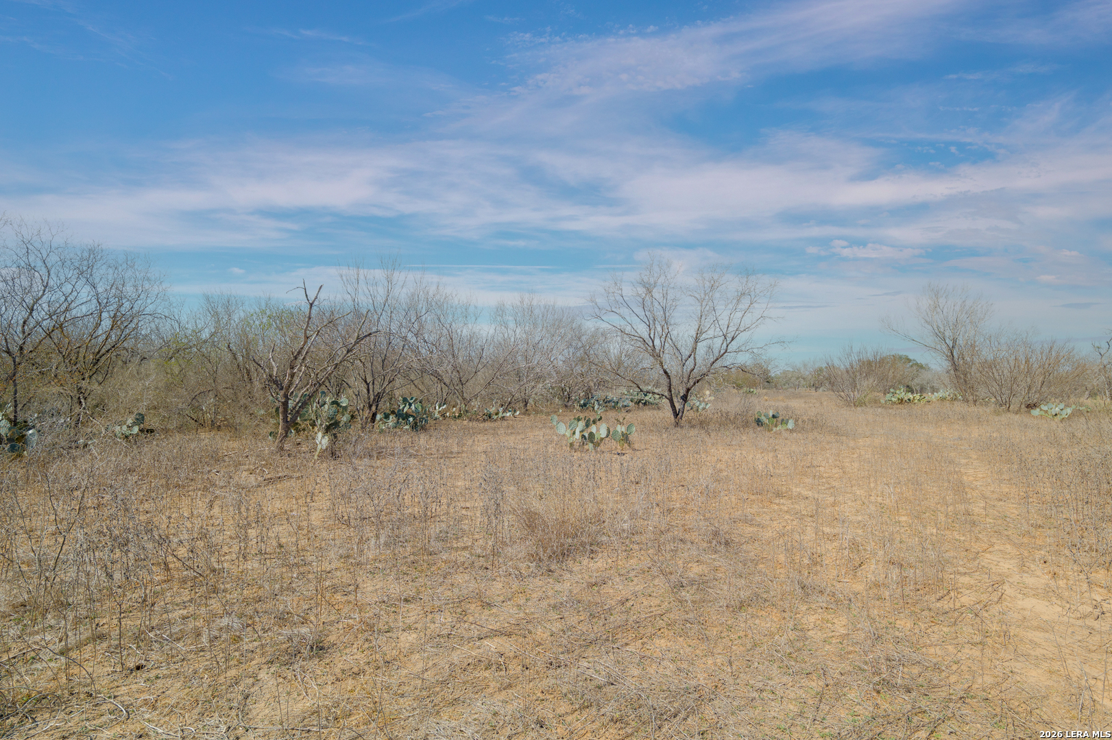 1826 County Road 2537, ,  78057 — photo 1