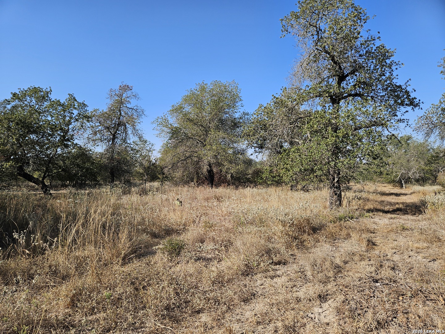 422 Pr Sunset Vista, ,  78069 — photo 1