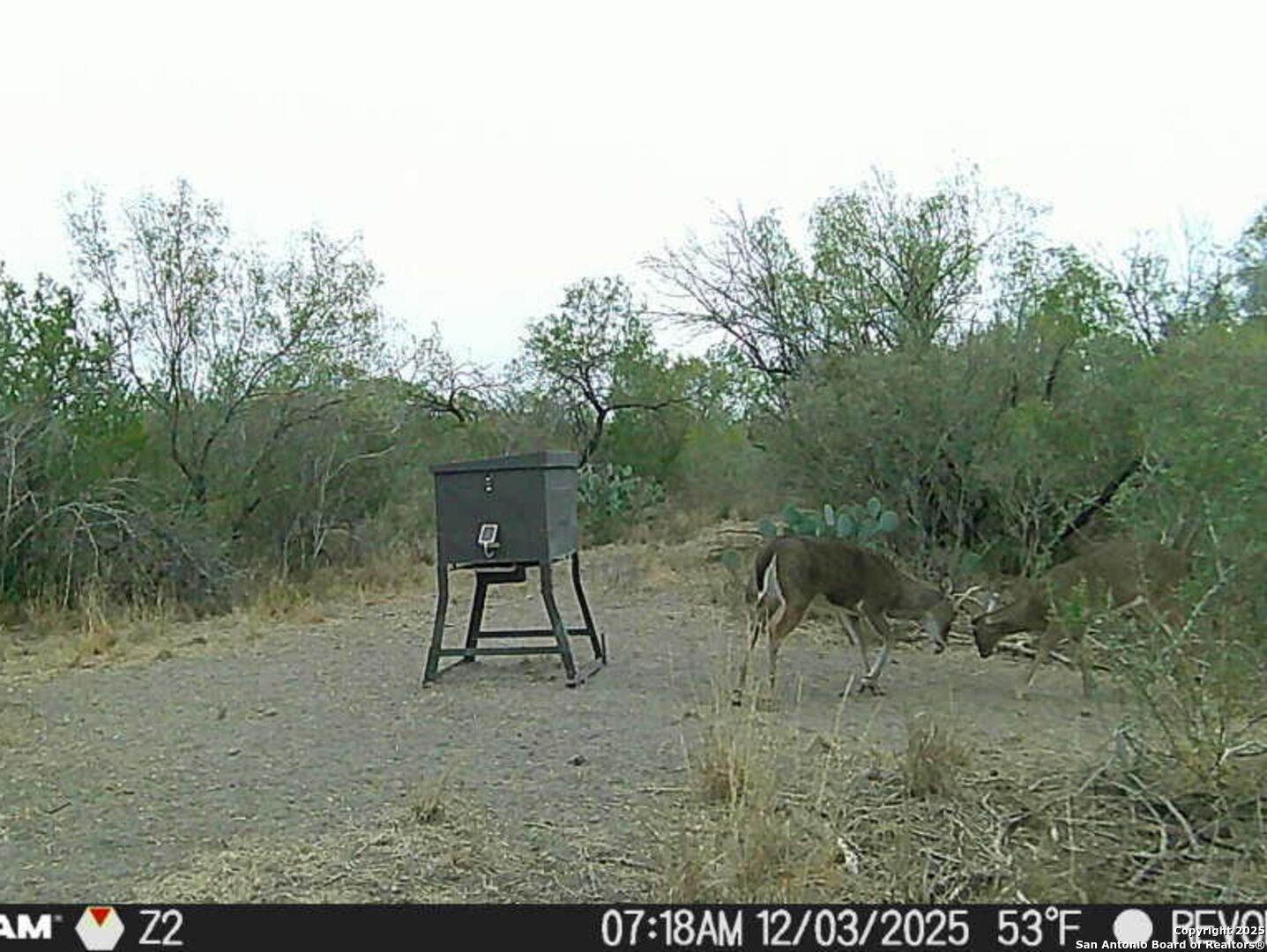 A-735 Franklin Ranch Road, , 78072 — photo 1