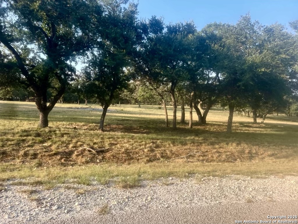 1014 Lipan Apache Run, ,  78606 — photo 1