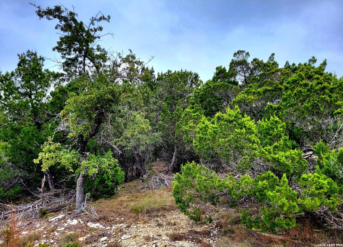 171 Appaloosa Dr, Fischer, TX 78623 — photo 1