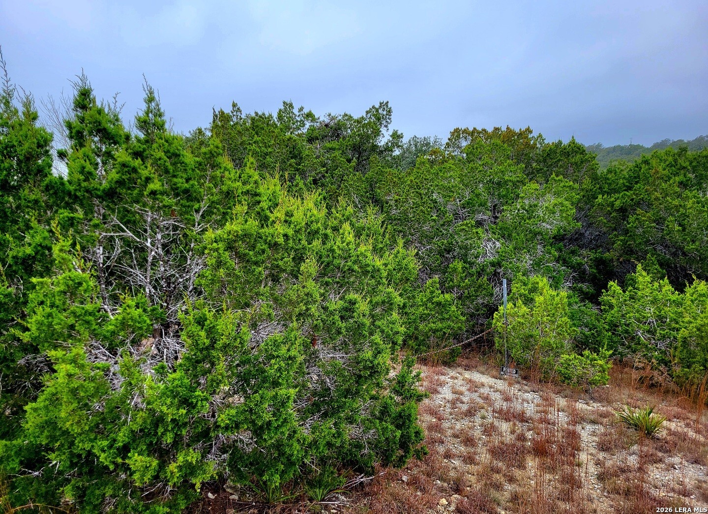 193 Appaloosa Dr, Fischer, TX 78623 — photo 1