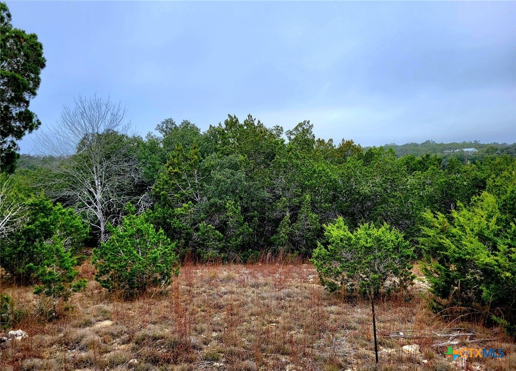 193 Appaloosa Drive, Fischer, TX 78623 — photo 1