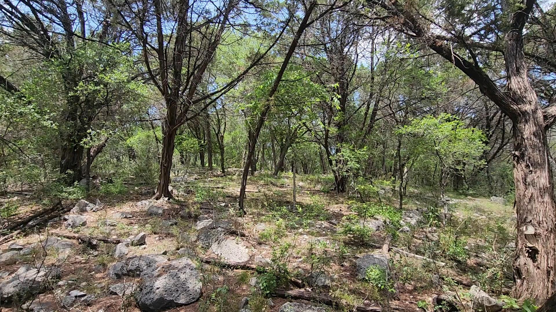 410 Owl Hollow Rd, San Marcos, TX 78666 — photo 1