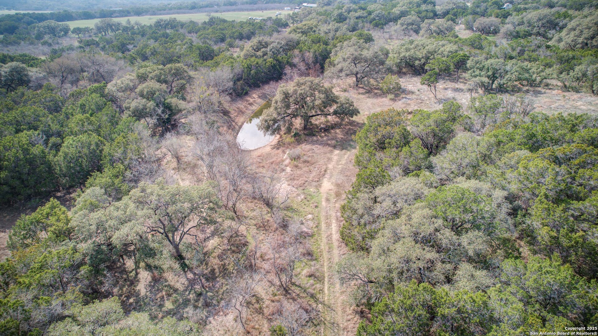 1463 Whispering Woods Trail, New Braunfels, TX 78132 — photo 1