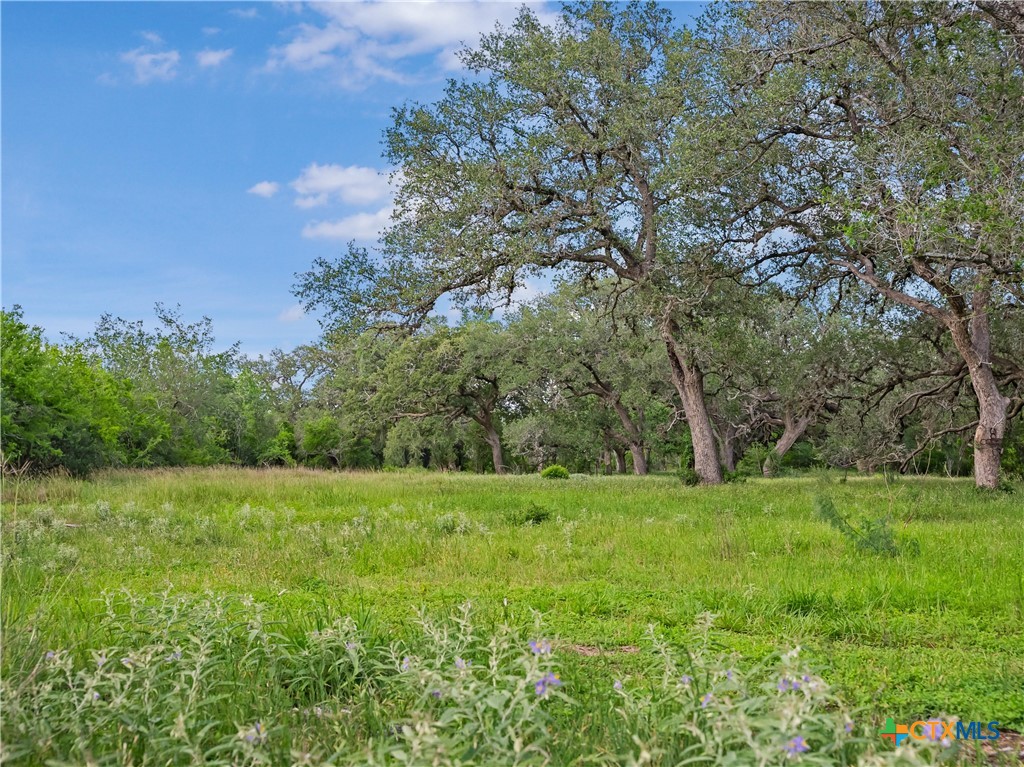 5394 FM 237, Meyersville, TX 77974 — photo 1