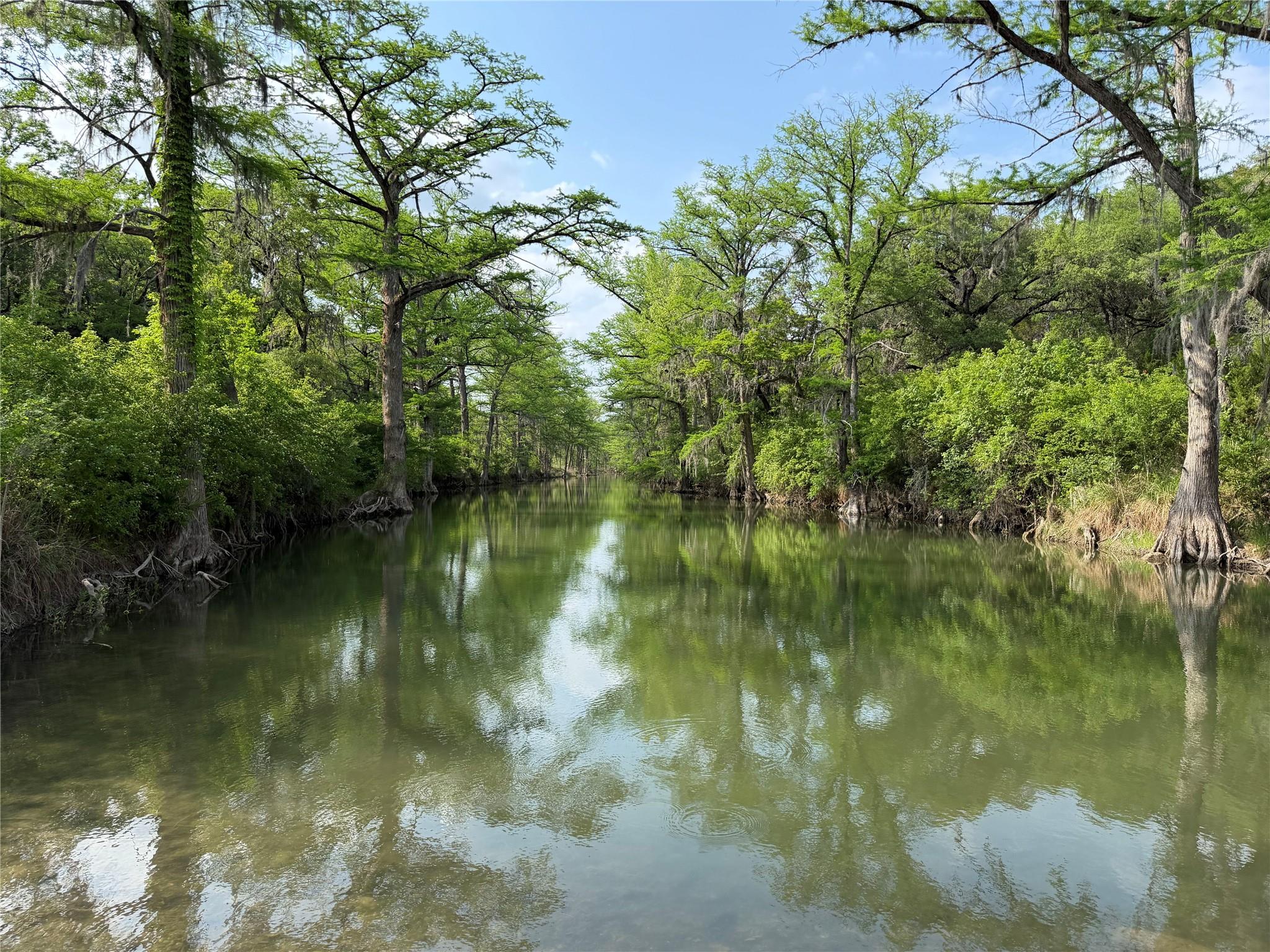 8219  Hammetts Crossing Xing, Dripping Springs, TX 78663 — photo 1