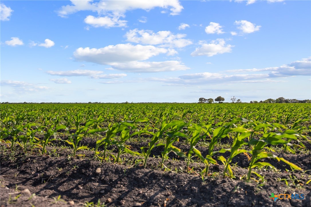 5629 Us-59, Edna, TX 77957 — photo 1