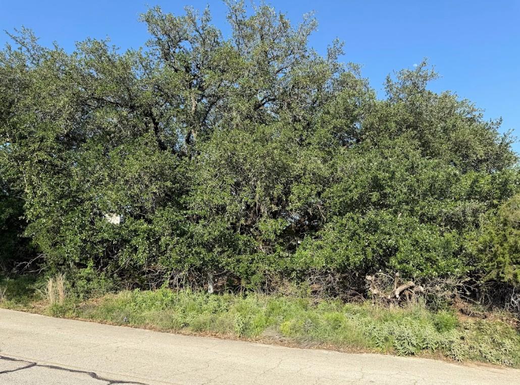 4209 Rockwood, Lago Vista, TX 78645 — photo 1