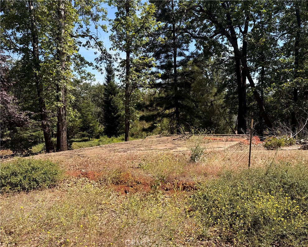 13457 Achilles Court, Magalia, CA 95954 — photo 1