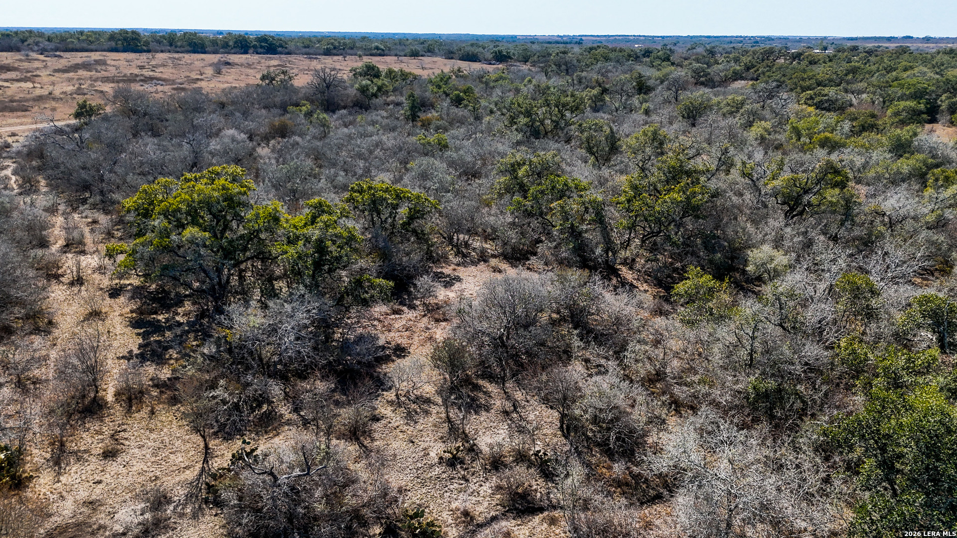 TBD Hohn Road, ,  78141 — photo 1