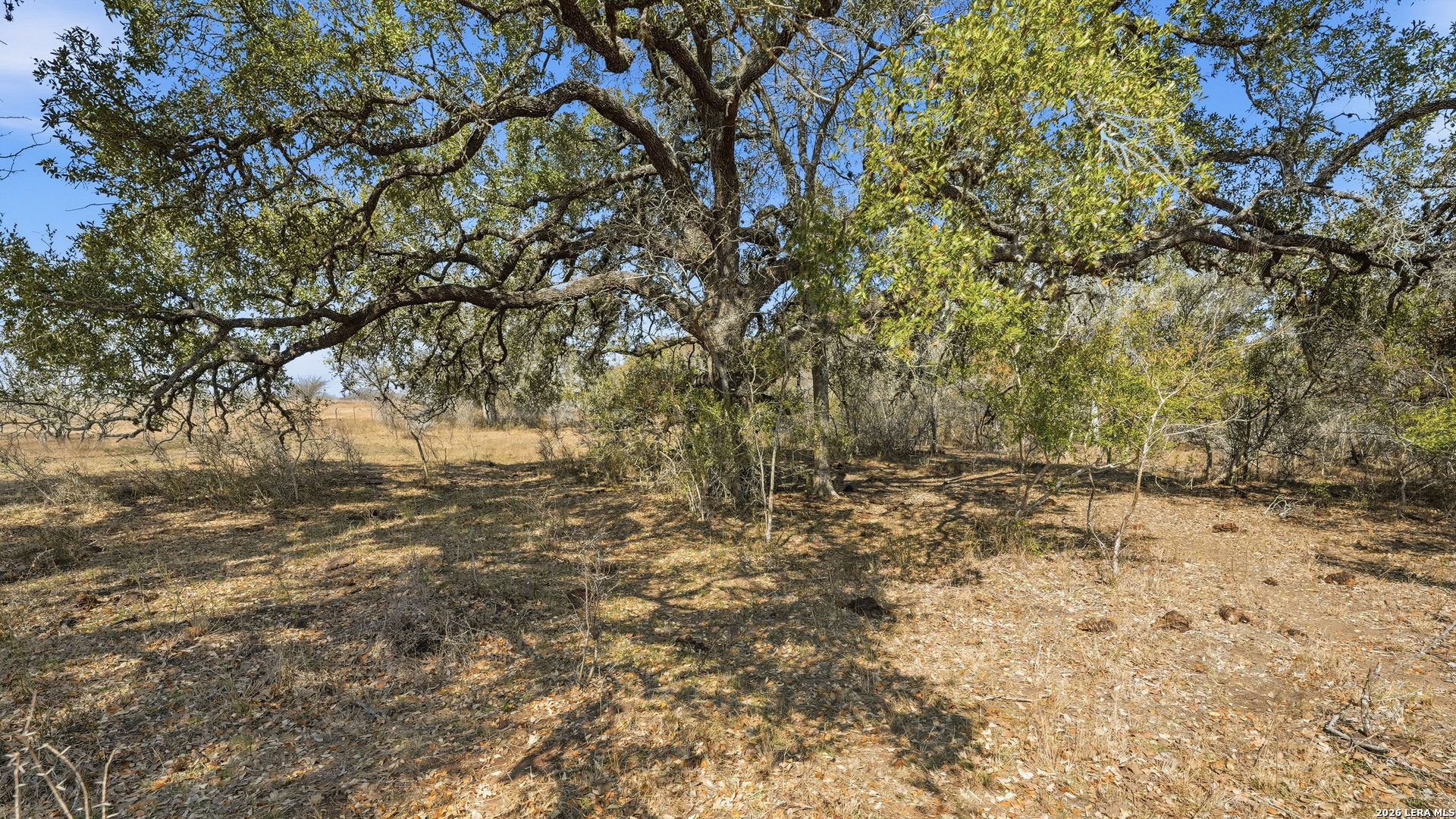 TBD Hohn Road, Nordheim, TX 78141 — photo 1
