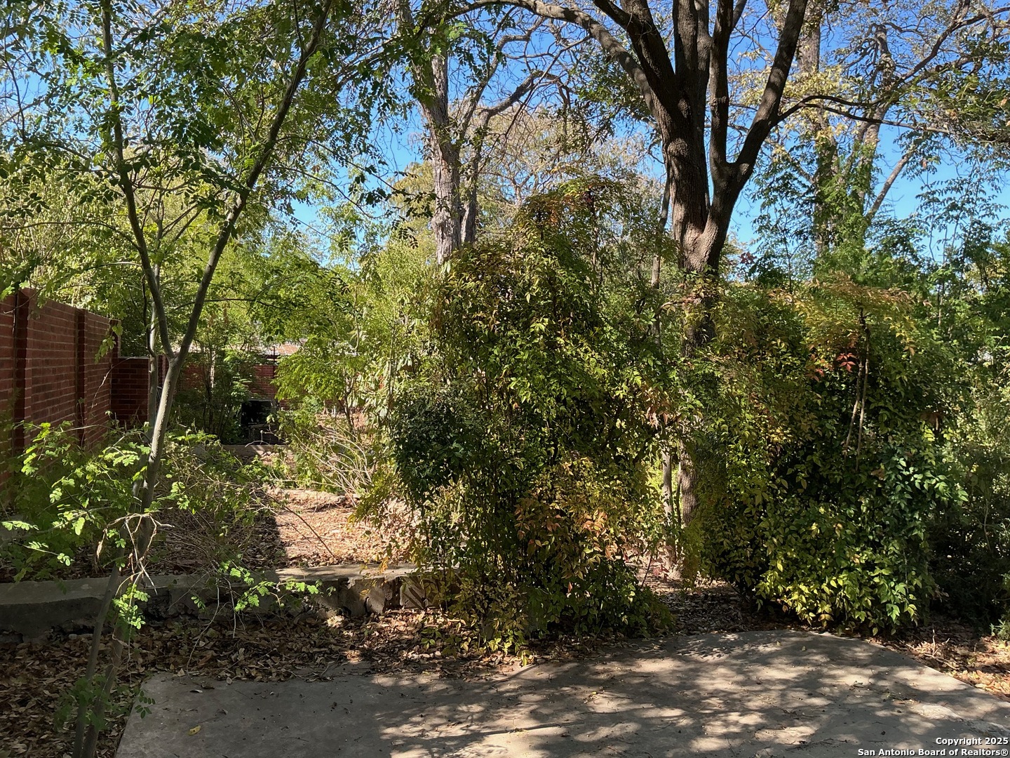 134 Vassar, ,  78212 — photo 1
