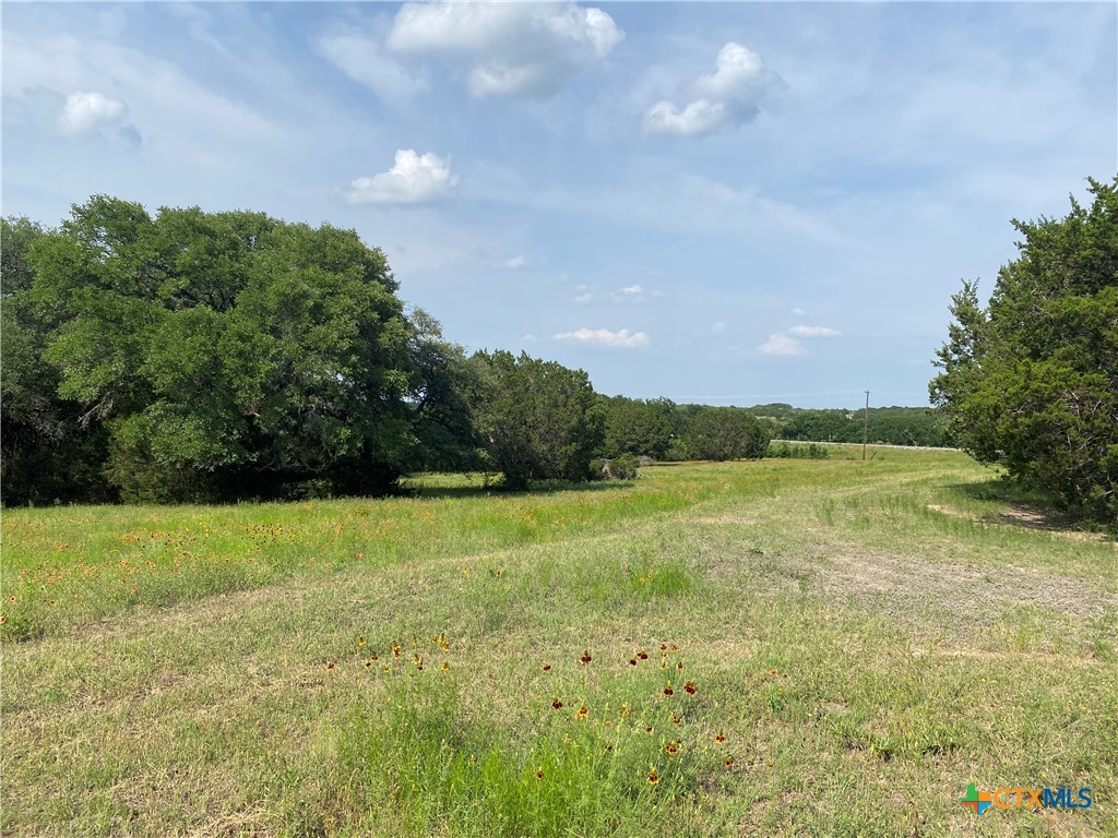 10278 S Highway 281, Lampasas, TX 76550 — photo 1