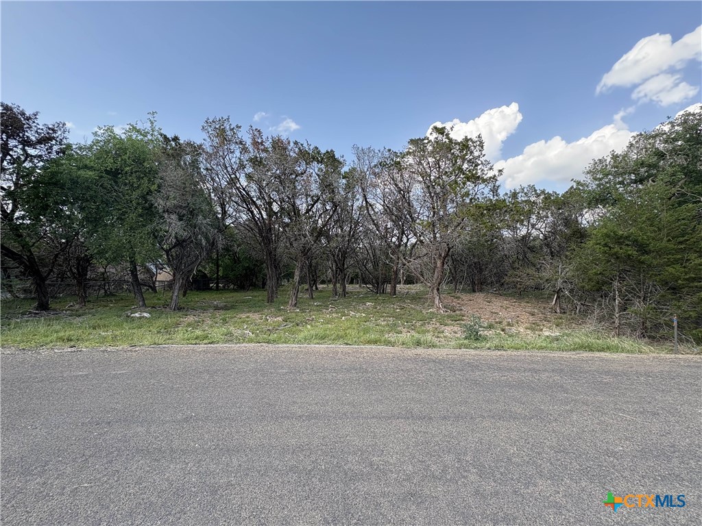 2303 Prickley Pear Road, Belton, TX 76513 — photo 1