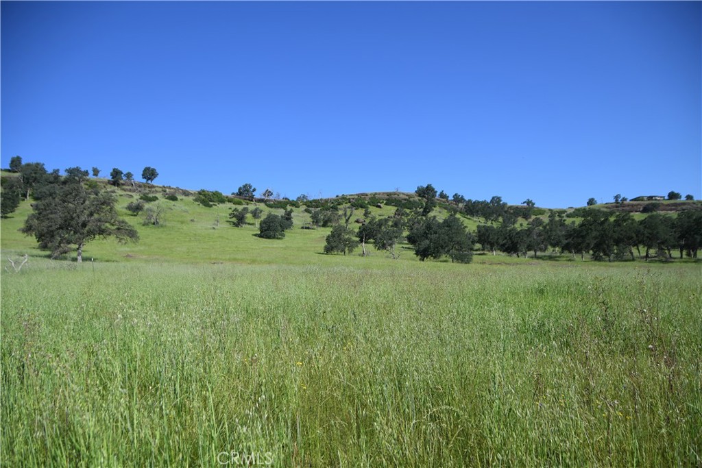 0 Cobble Creek Road, Butte Valley, CA 95965 — photo 1